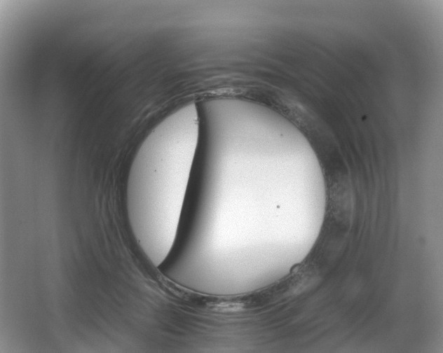 X0000066540554200603241414