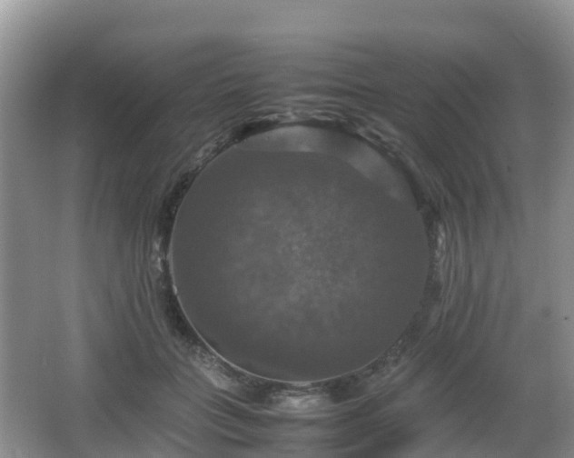 X0000066540555200603241414