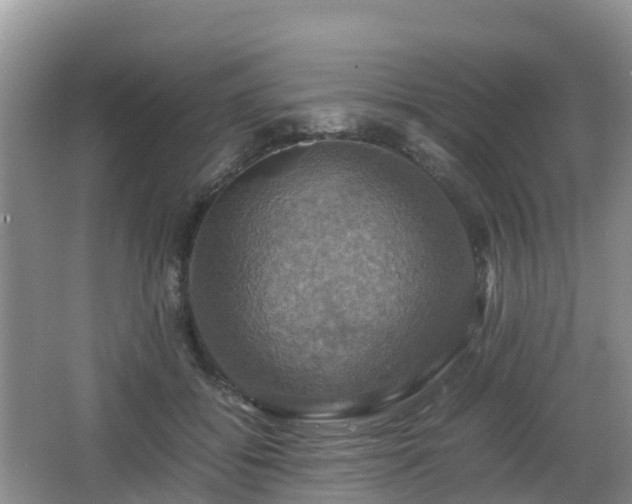 X0000066540556200603241414