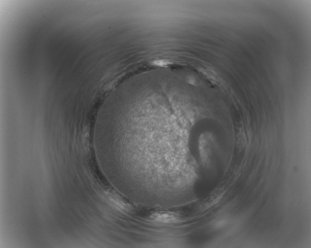 X0000066540557200603241414