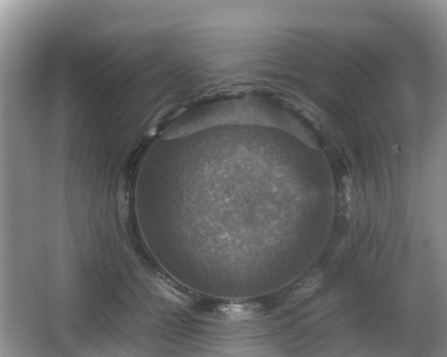 X0000066540558200603241414