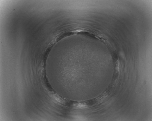 X0000066540559200603241414