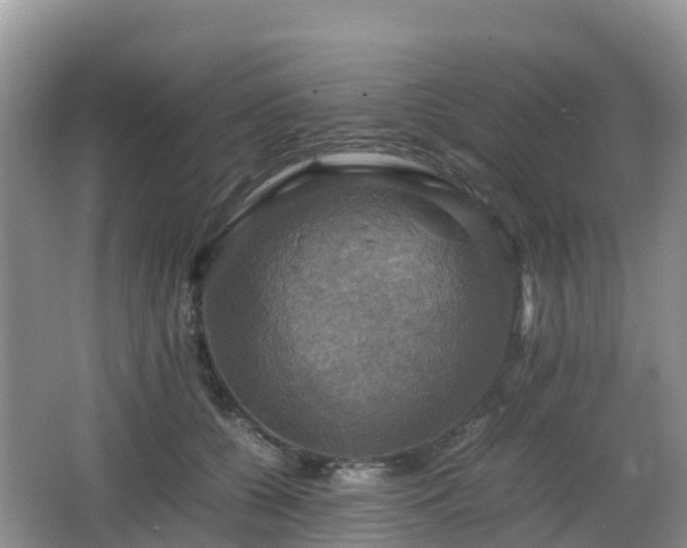 X0000066540560200603241414