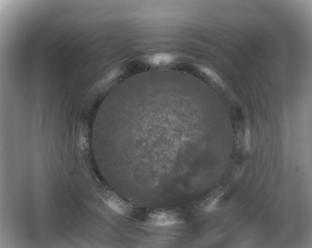 X0000066540561200603241414