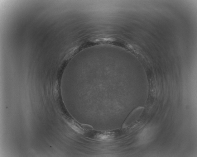 X0000066540563200603241414