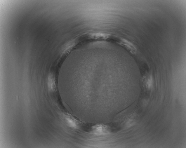 X0000066540564200603241414