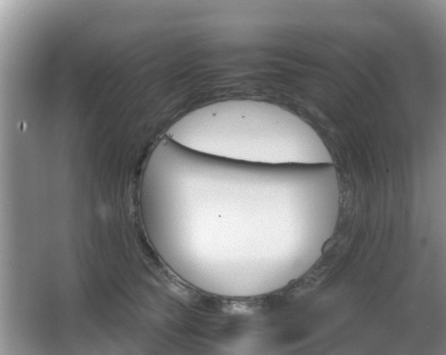 X0000066540565200603241414