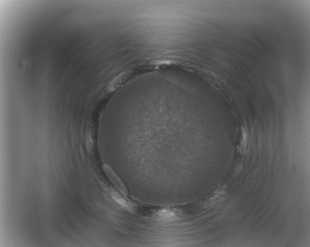 X0000066540566200603241414