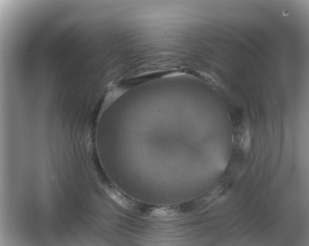 X0000066540568200603241414