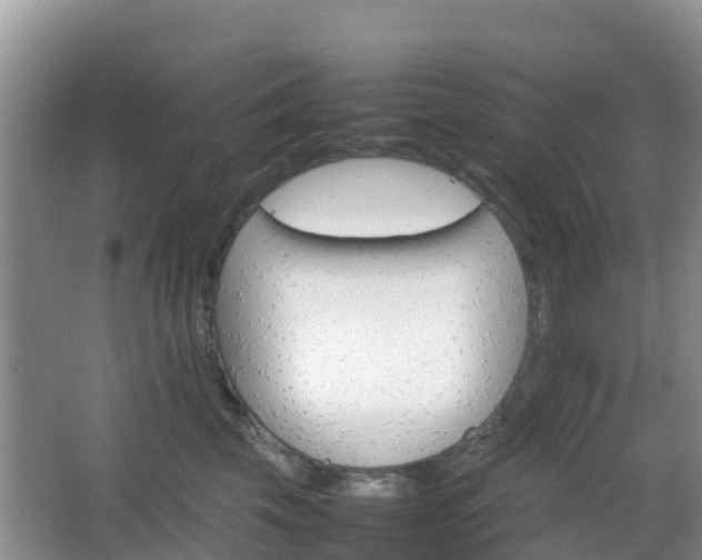 X0000066540569200603241414