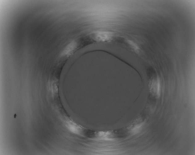 X0000066540570200603241414