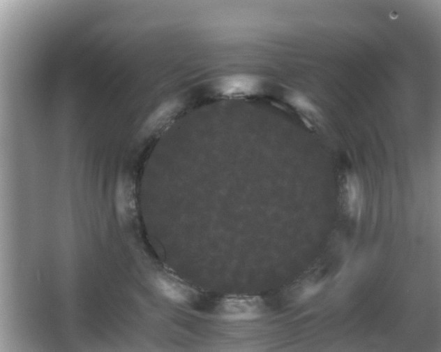 X0000066540571200603241414