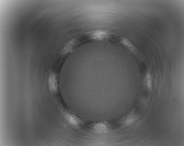 X0000066540572200603241414