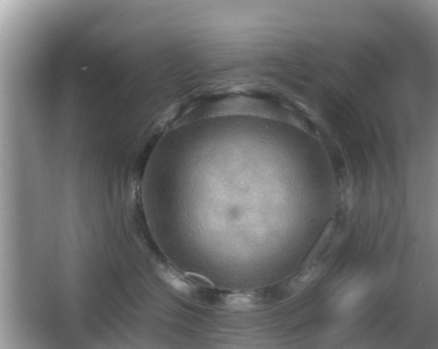 X0000066540574200603241414