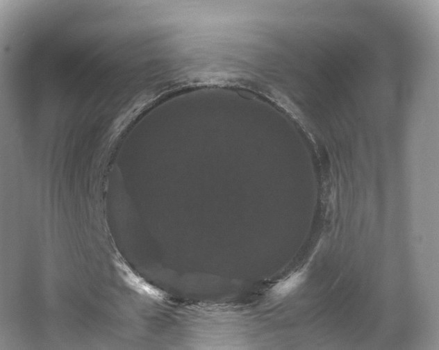 X0000066540577200603241413