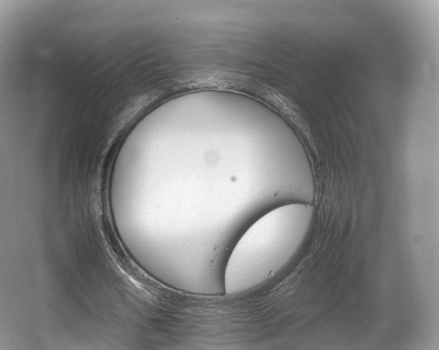 X0000066540578200603241413