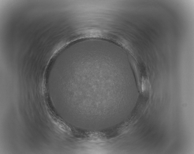 X0000066540579200603241413