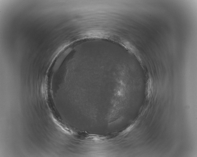 X0000066540580200603241413