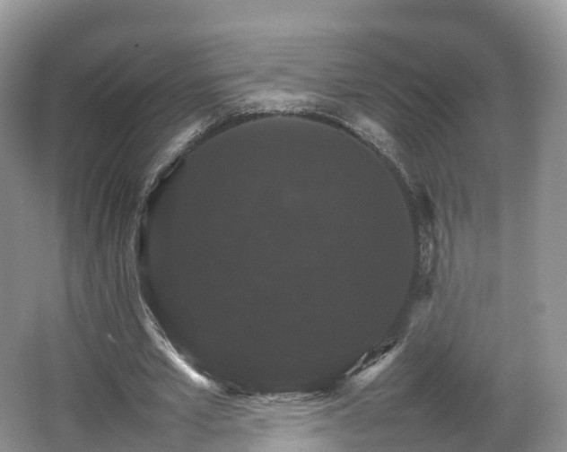 X0000066540581200603241413