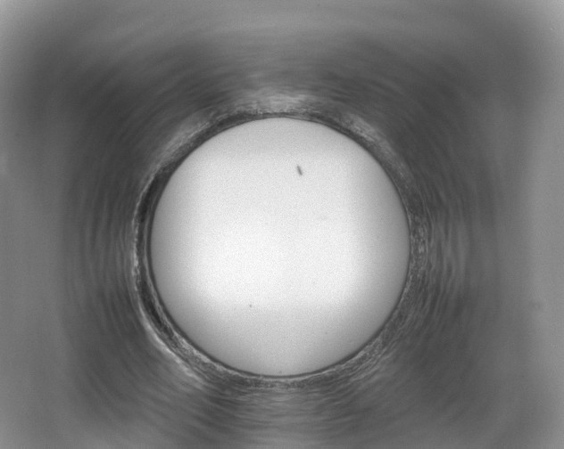 X0000066540582200603241413