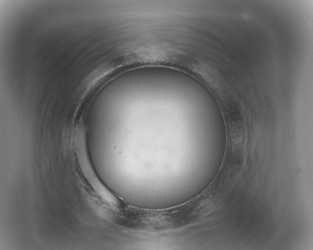 X0000066540583200603241413