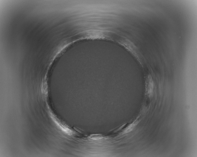 X0000066540584200603241413