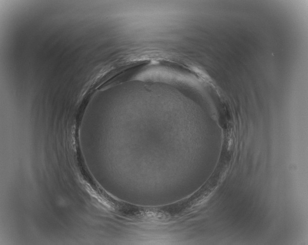 X0000066540585200603241413