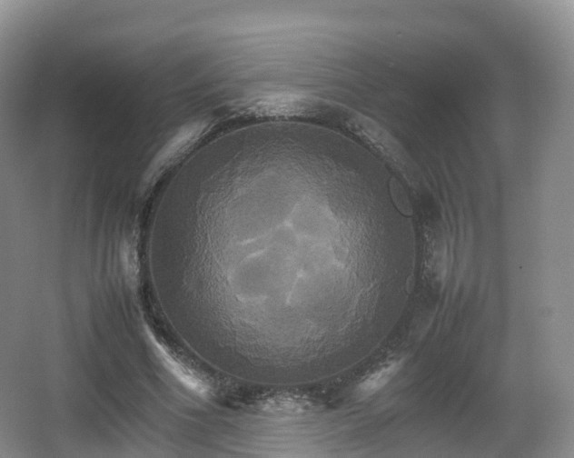 X0000066540586200603241413