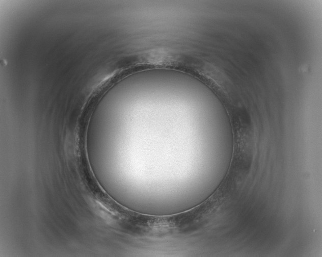 X0000066540587200603241413