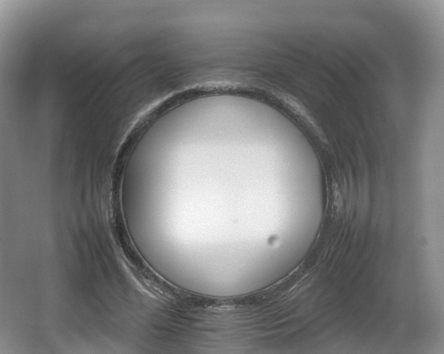 X0000066540588200603241413