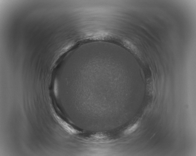 X0000066540589200603241413