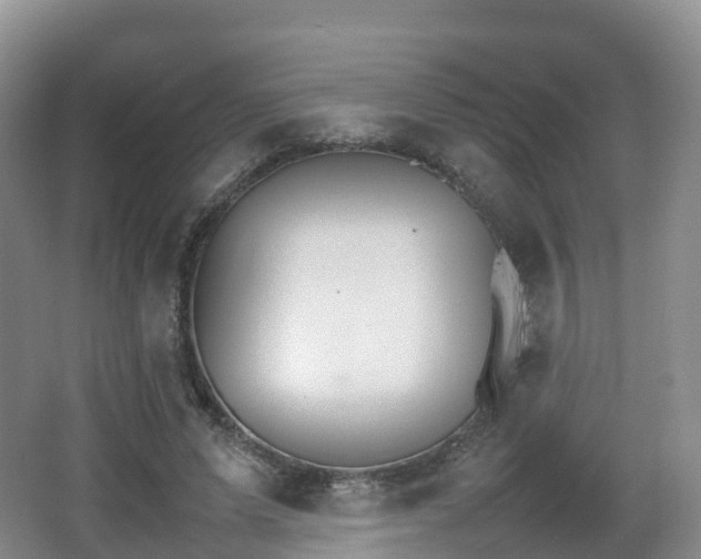 X0000066540591200603241413