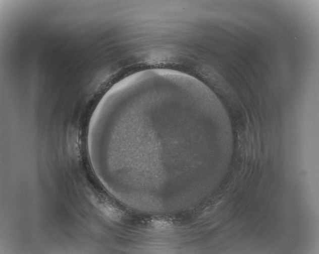 X0000066540592200603241413