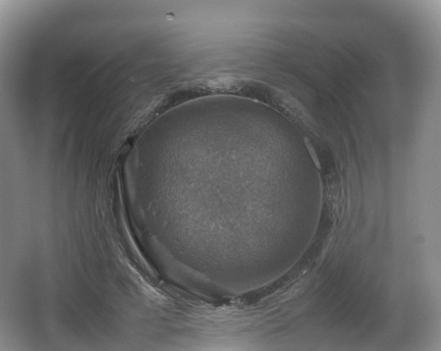 X0000066540593200603241413