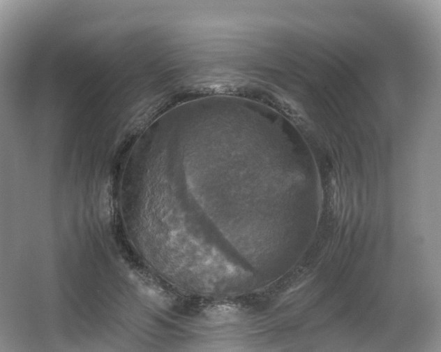 X0000066540594200603241413