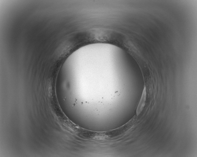 X0000066540595200603241413