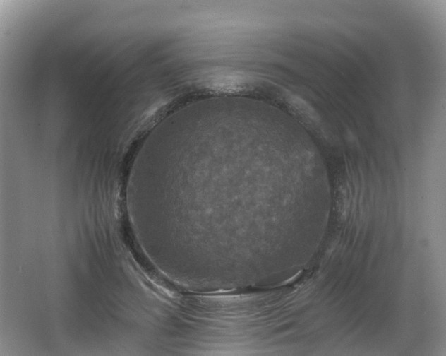 X0000066540596200603241413