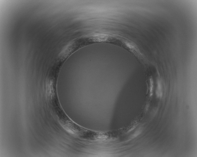 X0000066540598200603241413