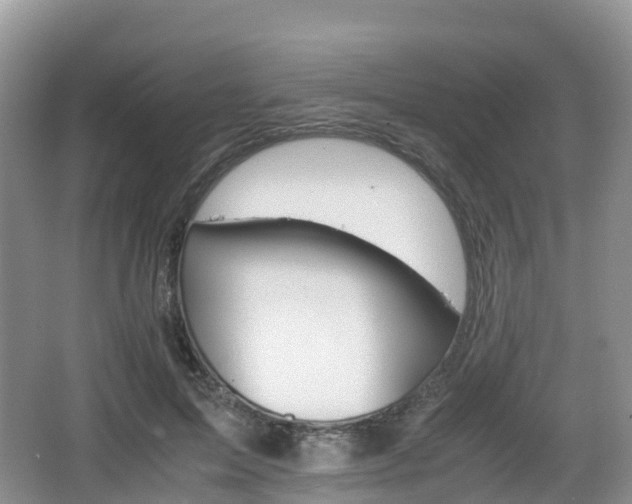 X0000066540599200603241413