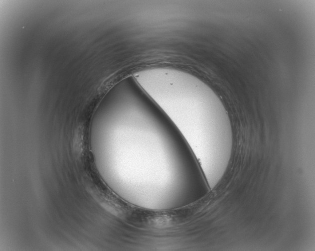 X0000066540600200603241413