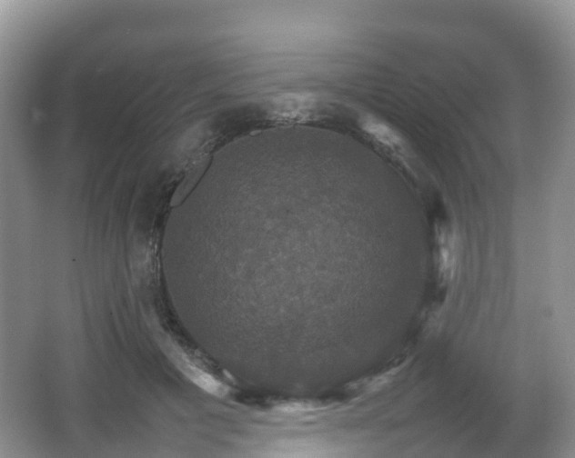 X0000066540601200603241413