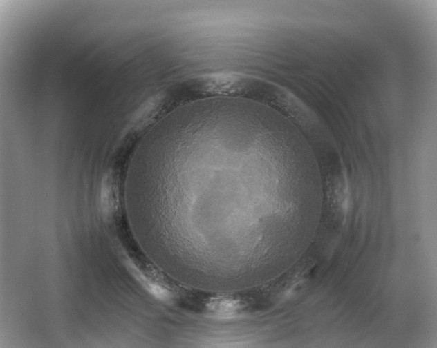 X0000066540602200603241413