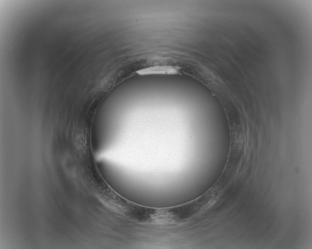 X0000066540603200603241413