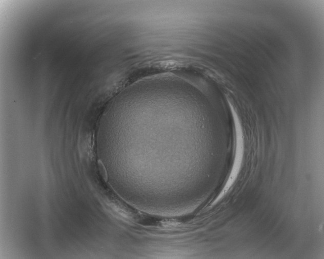 X0000066540605200603241413