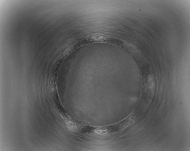 X0000066540606200603241413