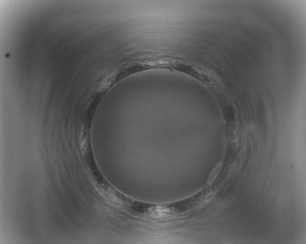 X0000066540607200603241413