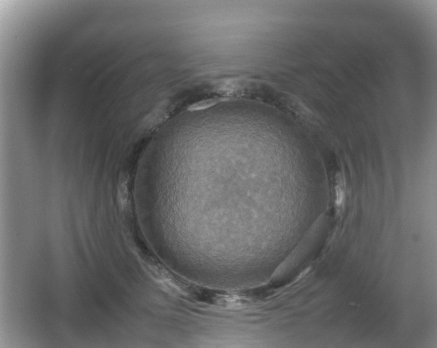 X0000066540611200603241413