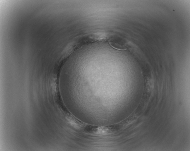 X0000066540612200603241413