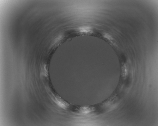 X0000066540613200603241413