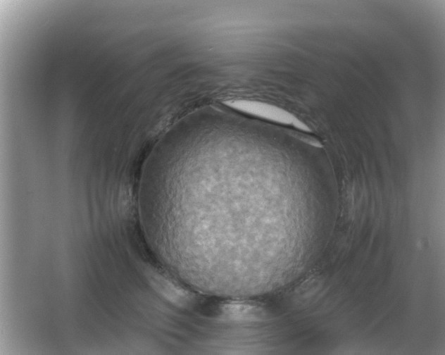 X0000066540614200603241413